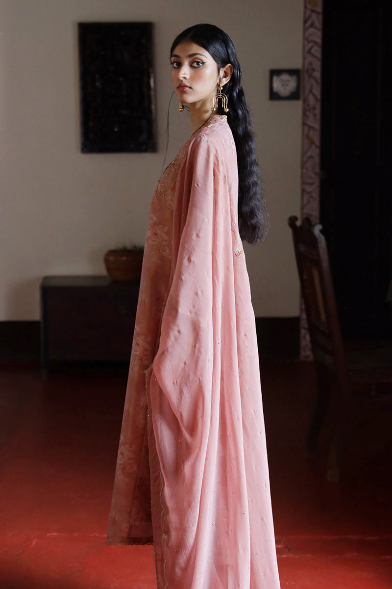 Women's Light Mahogany Tissue Silk Salwar Suit