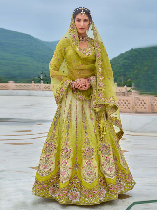 Women Sea Green Pure Chiffon Sequins and thread embroidery Lehenga choli & Dupatta