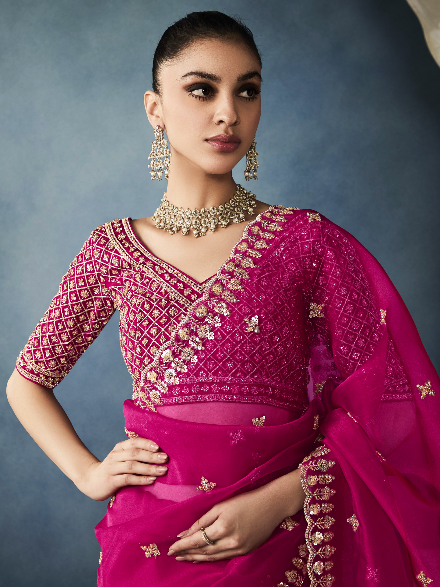 Dhiyona KM Women Pink Tissue Embroidered Fancy Heavy Border Saree