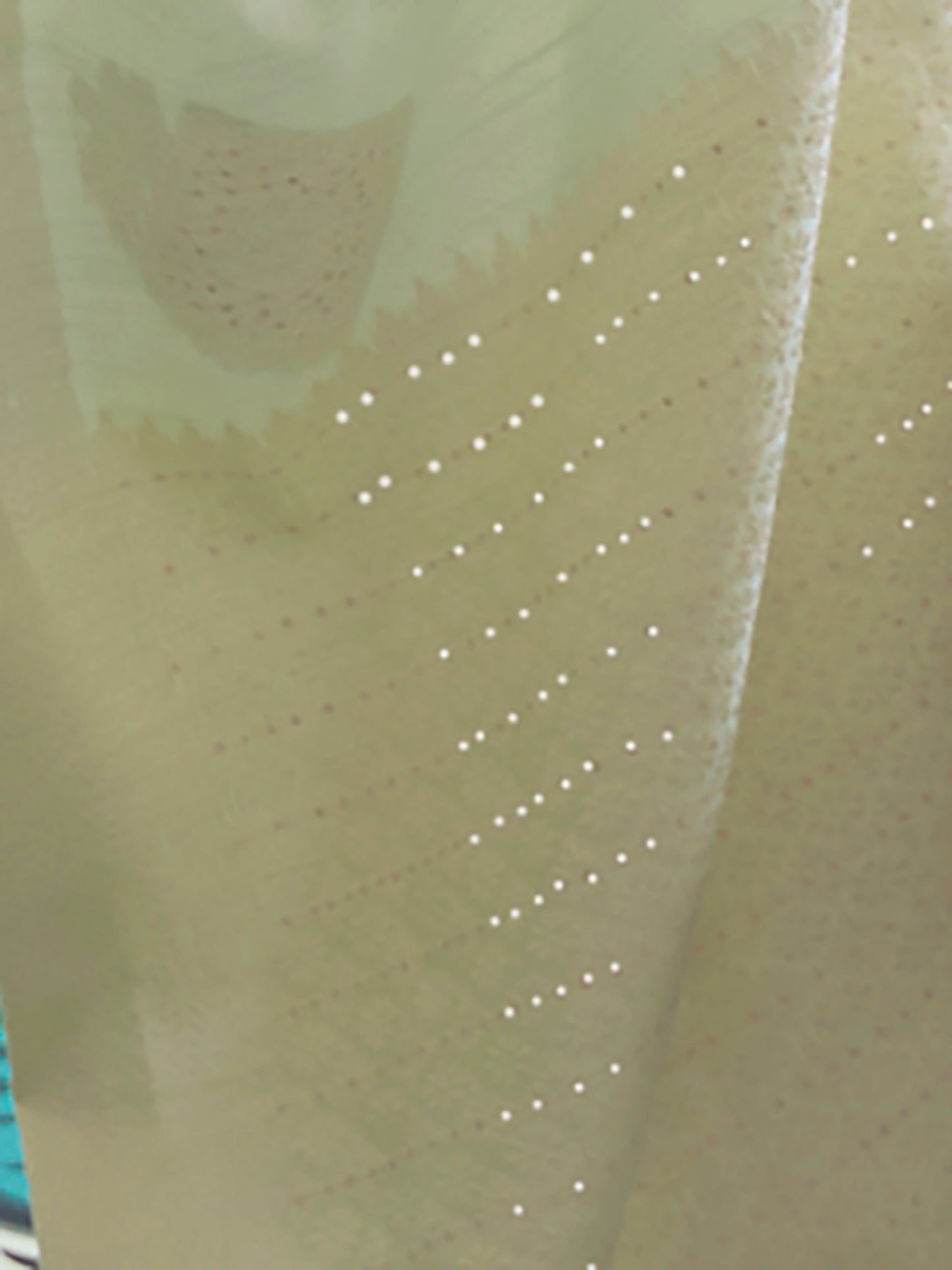 Women's Silk Blend Green Chikankari Designer Saree With Blouse Piece