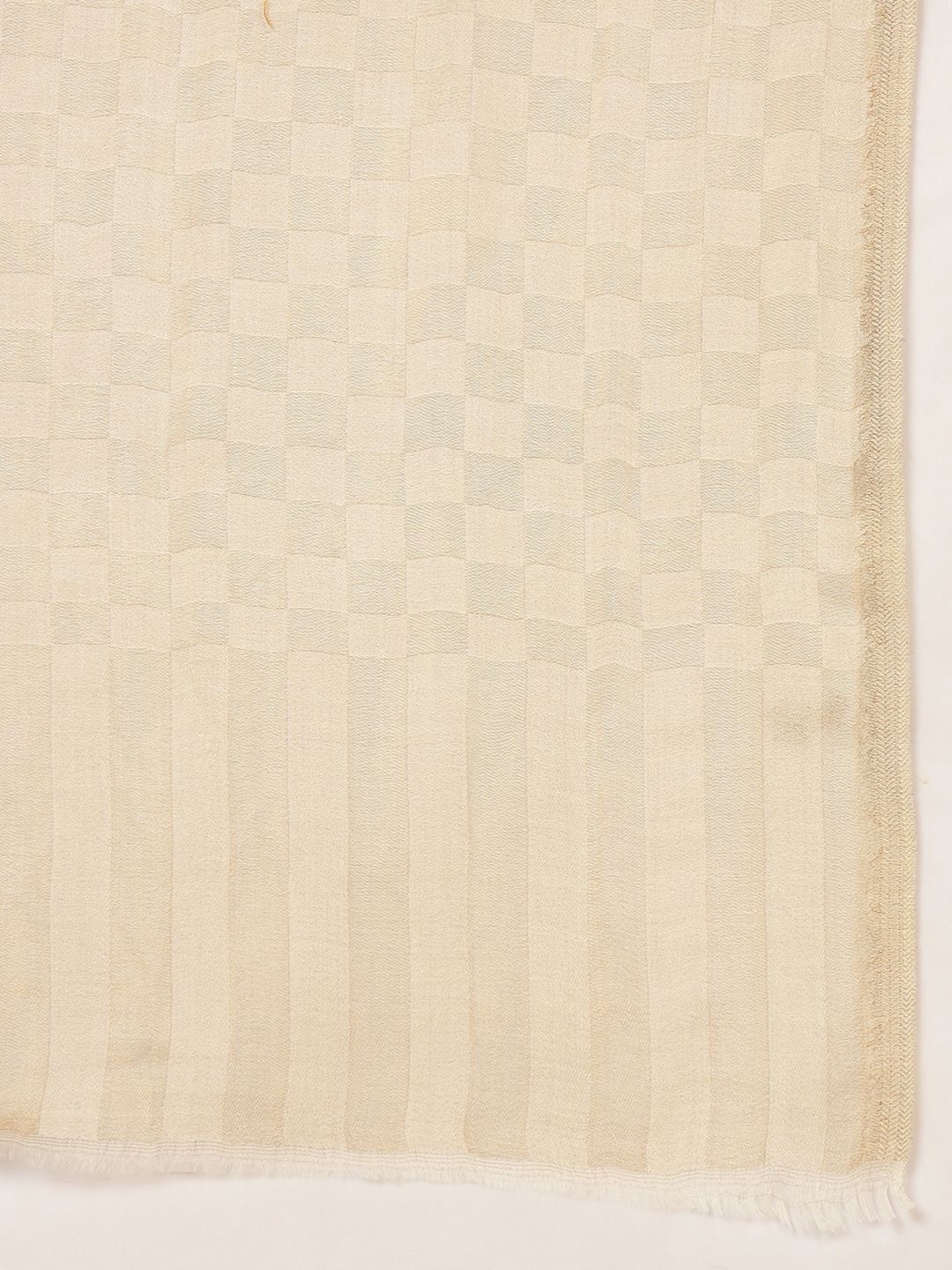 Dhiyona PA Ruhzar Checked Woven Design Reversible Pashmina Woolen Shawl