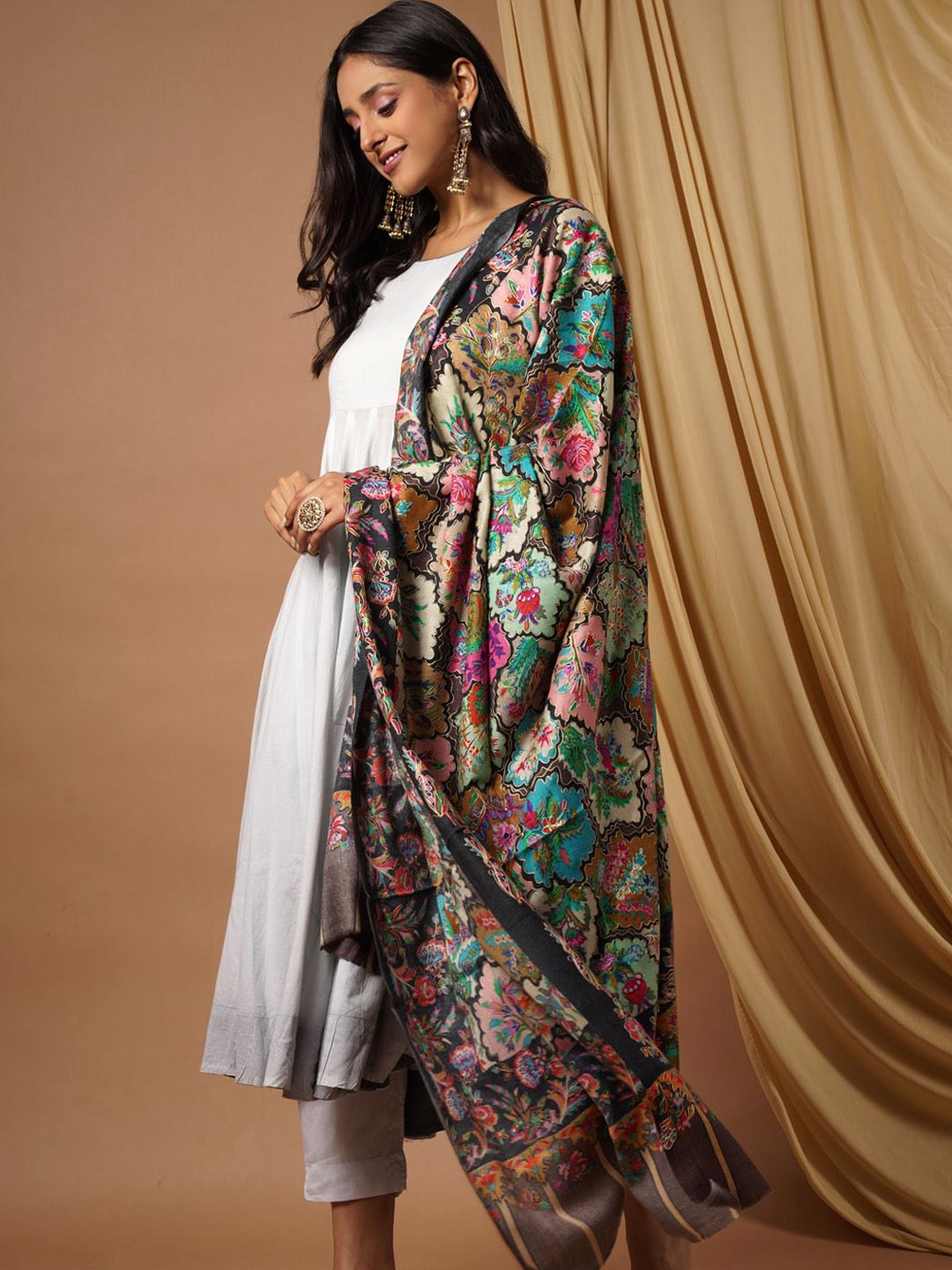 Dhiyona PA Women Multicolor Embroidered Pure Wool Shawl