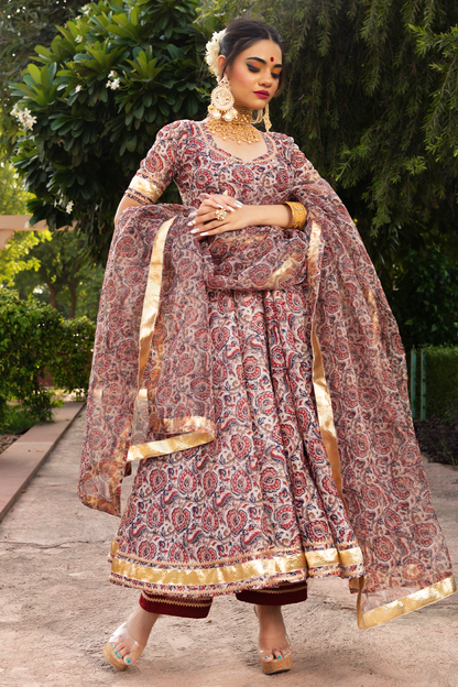 Gulbagh  Organza  Anarkali Set