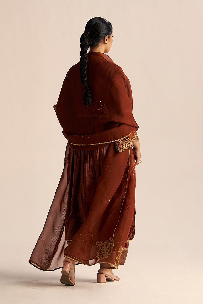 back side full body view Sequoia Brown Velvet Festive Kurta Set