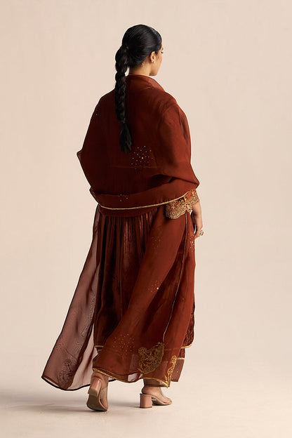 back side full body view Sequoia Brown Velvet Festive Kurta Set