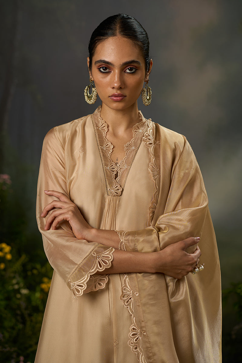 Dhiyona GF Women's Brazilian Sand Festive Kurta Set