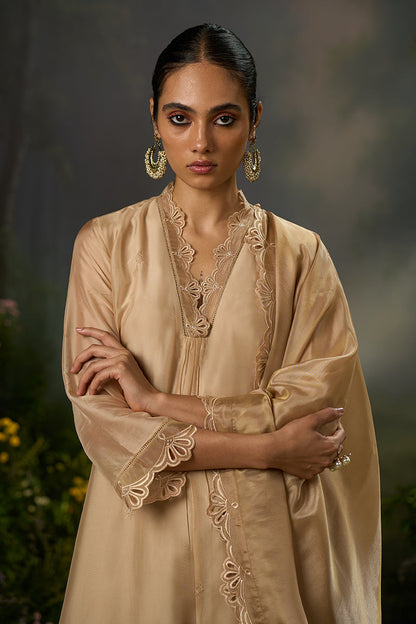 Dhiyona GF Women's Brazilian Sand Festive Kurta Set