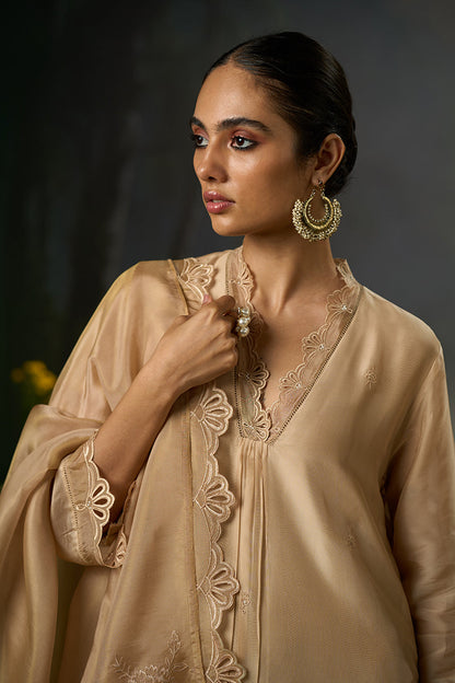 Dhiyona GF Women's Brazilian Sand Festive Kurta Set