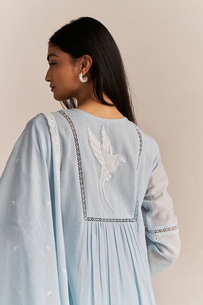Dhiyona GF Women's Powder Blue Mul-Mul Embroidered Kurta Set
