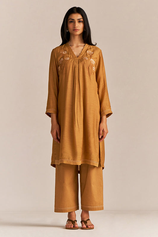 Dhiyona GF Women's Cinnamon Embroidered Co-ord Set
