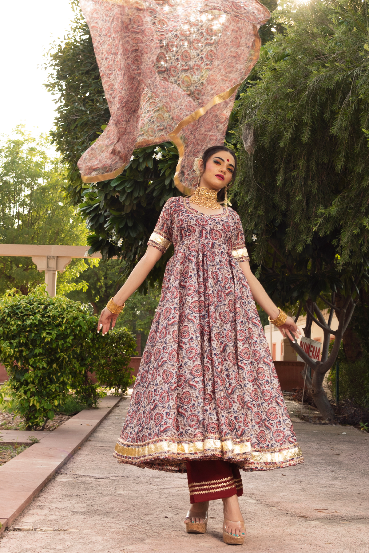 Gulbagh  Organza  Anarkali Set
