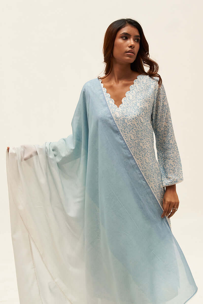 Women's Light Blue and White Bemberg Silk Printed Salwar Suit