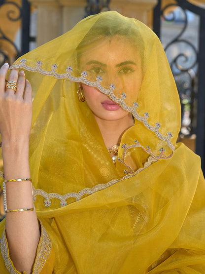 Dhiyona IE Ethnic Motifs Embroidered Regular Zari Kurta with Trousers & With Dupatta
