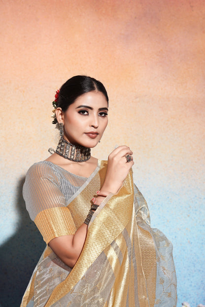 Dhiyona GR Women's Amani Grey Tissue Cotton Silk Embroidered Saree