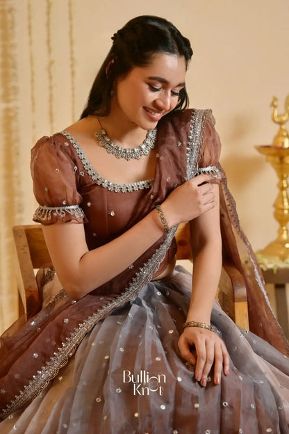 Dhiyona BN Shabdika Lehenga Set in Brown