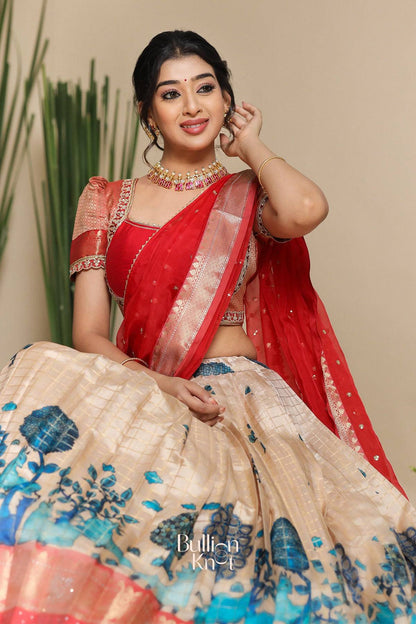 Dhiyona BN Saloni Banarasi Lehenga Set in Red