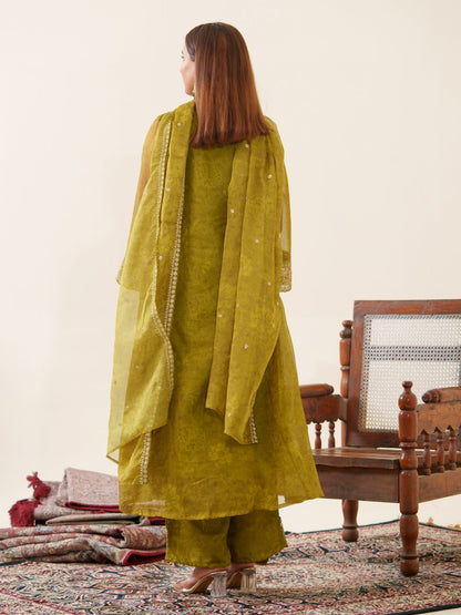 Dhiyona PD Women Floral Embroidered V-Neck Organza A-Line Kurta With Trousers & Dupatta