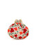 Dhiyona NR Embroidered Potli Clutch