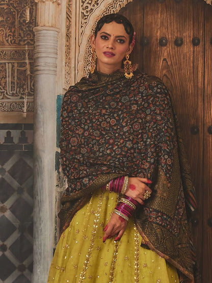 Dhiyona PA Women Paisley Woven Design Shawl