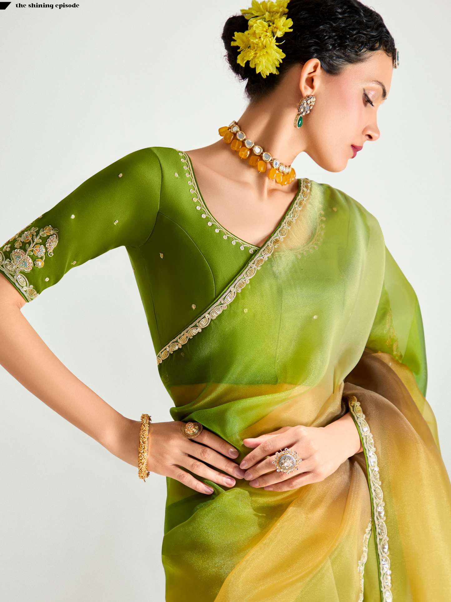 Dhiyona KM Women Green Shade Organza Saree