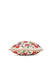 Dhiyona NR Embroidered Potli Clutch