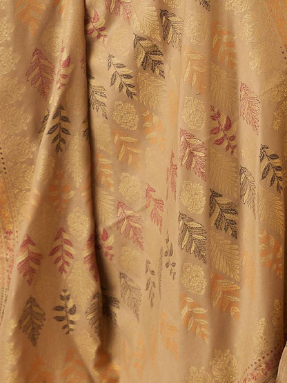 Dhiyona PA Women Paisley Woven Design Shawl