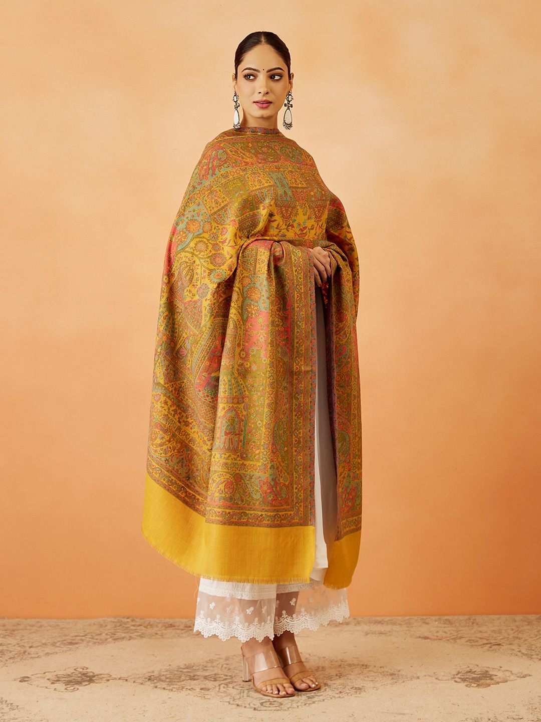 Dhiyona PA Women Paisley Woven Design Shawl