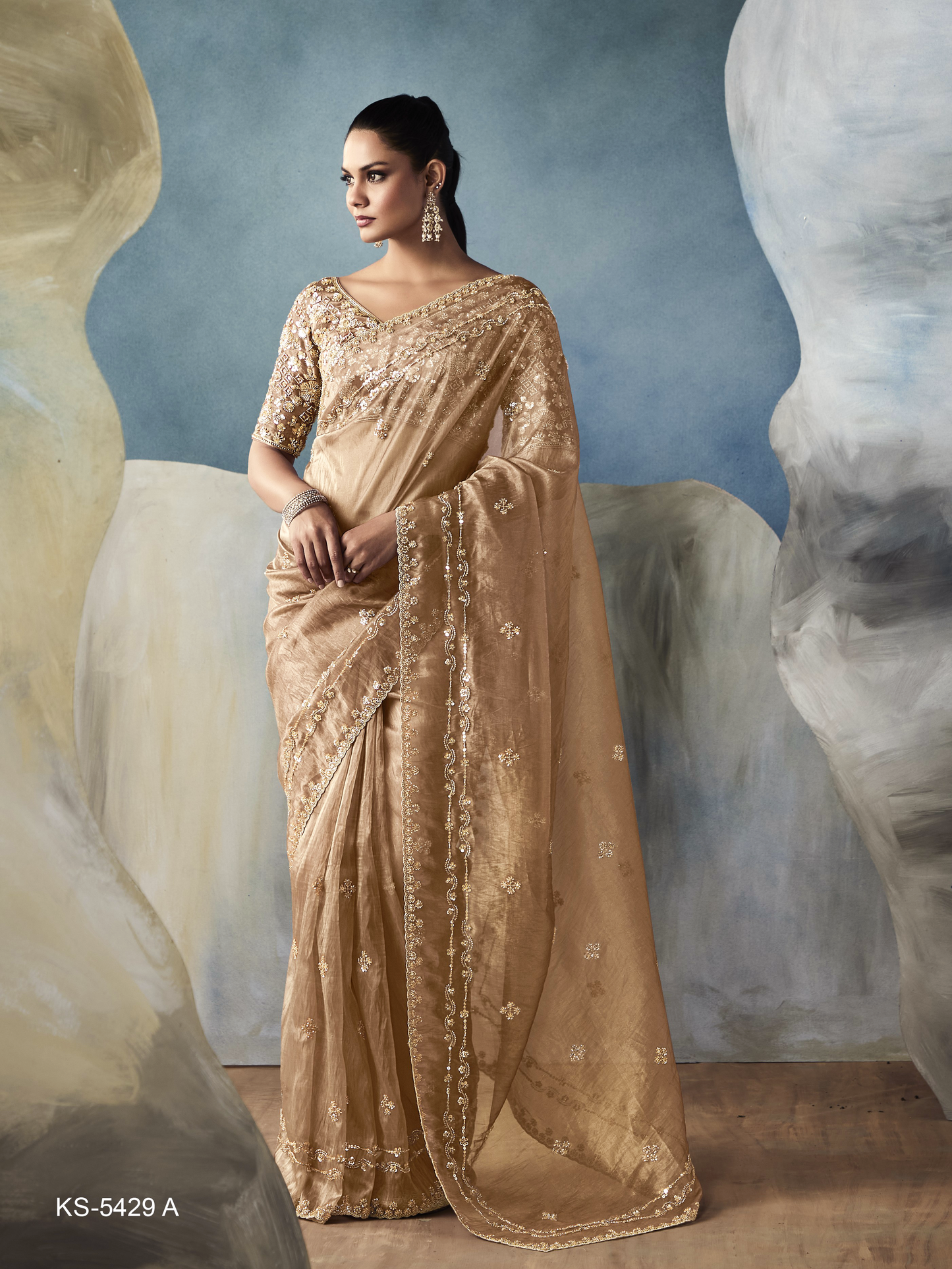 Dhiyona KM Women Tissue Embroidered Fancy Heavy Border Saree