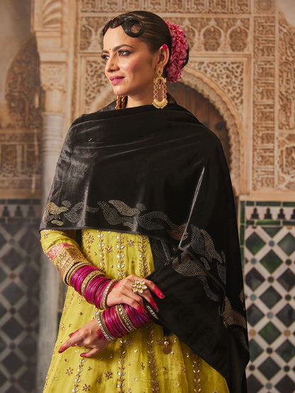 Dhiyona PA Women Paisley Velvet Shawl