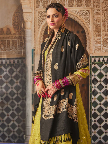 Dhiyona PA Women Paisley Embroidered Shawl