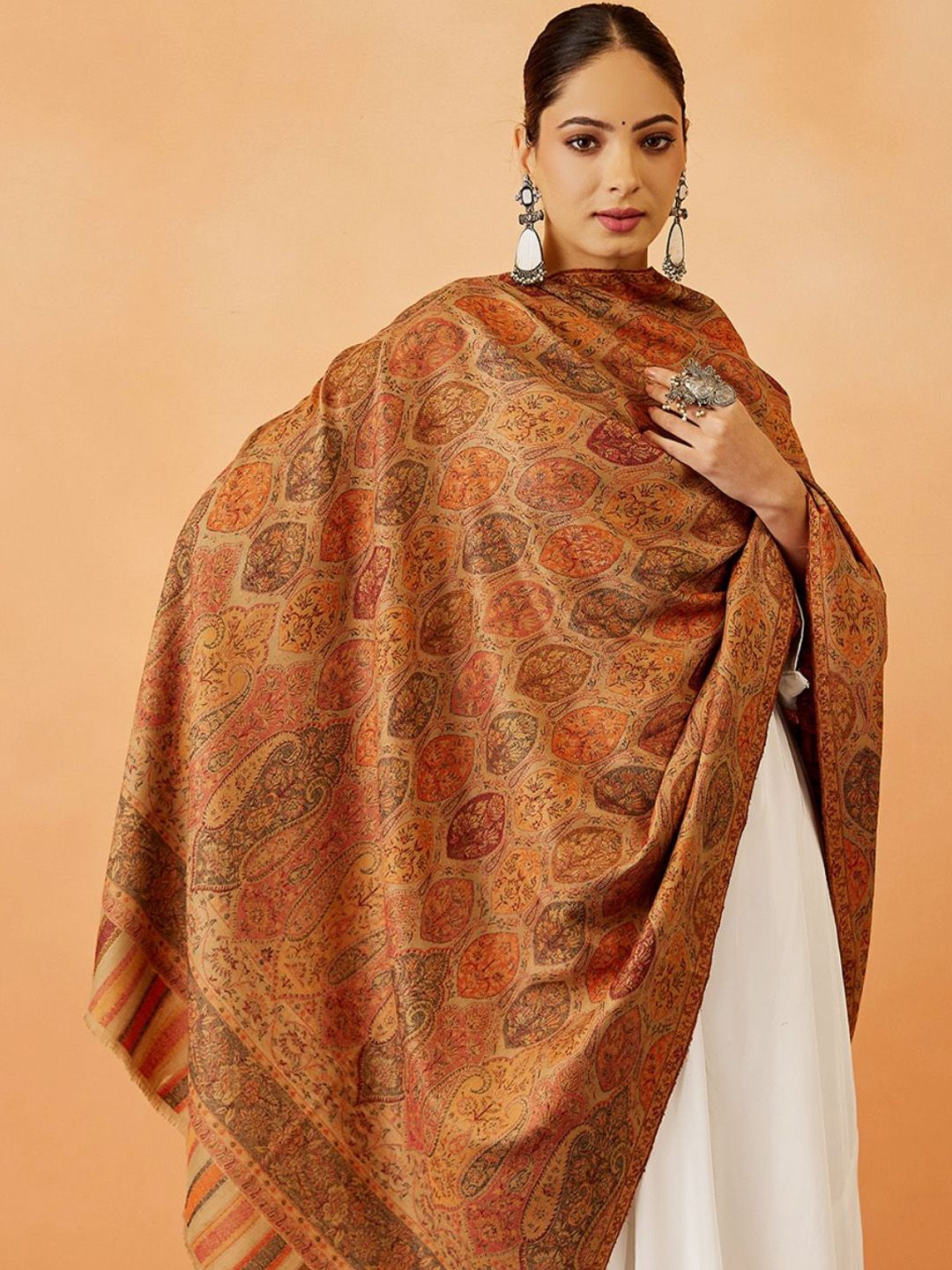 Dhiyona PA Women Paisley Woven Design Shawl