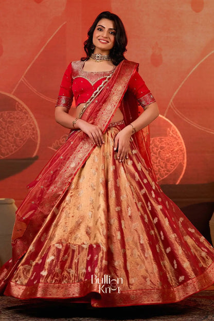 Dhiyona BN Amulya Tissue Zari Lehenga Set in Red