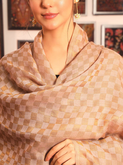 Dhiyona PA Checked Woven Design Shawl