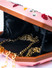 Dhiyona NR Embroidered Embellished Box Clutch