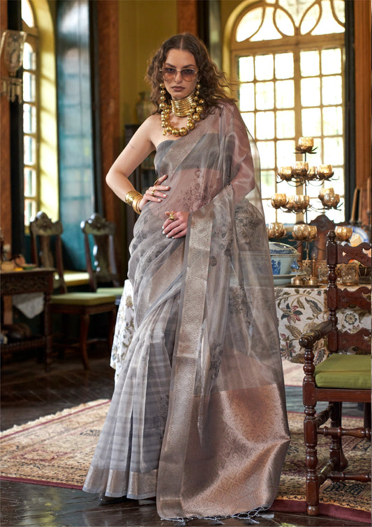 Dhiyona GR Women's Essence Smoke Grey Organza Woven Printed Saree