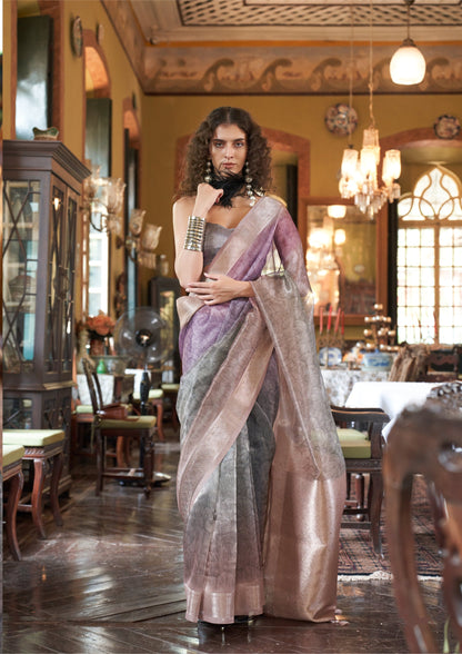 Dhiyona GR Women's Essence Multicolour Organza Woven Printed Saree