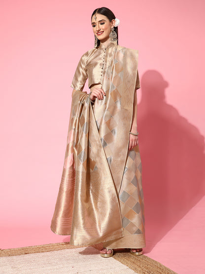 Women's Organza Grey Woven Design Handloom Saree With Blouse Piece