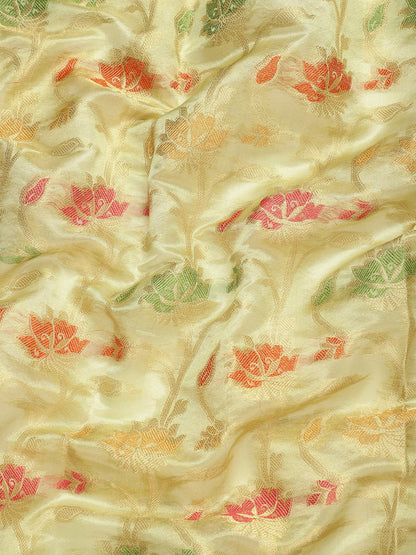 Dhiyona GR Women's Gulmohar Pista Green Organza Saree
