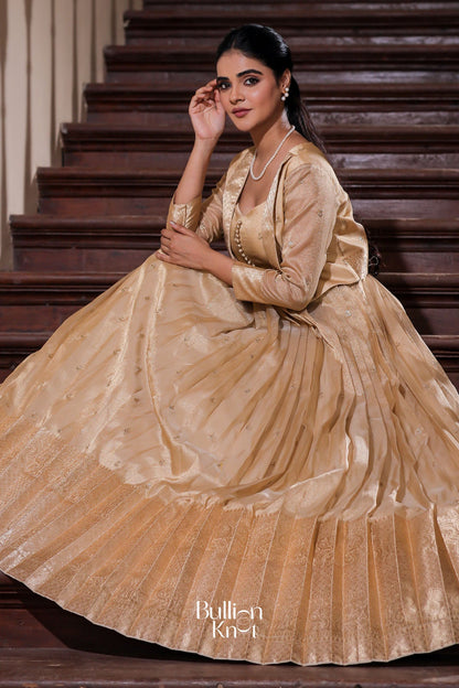 Dhiyona BN Nainika Zari Tissue Dress in Golden