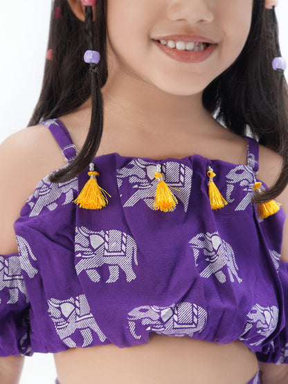 Trunk Tales Girls Purple Crop Top with Pants Girls Co-ordinate set