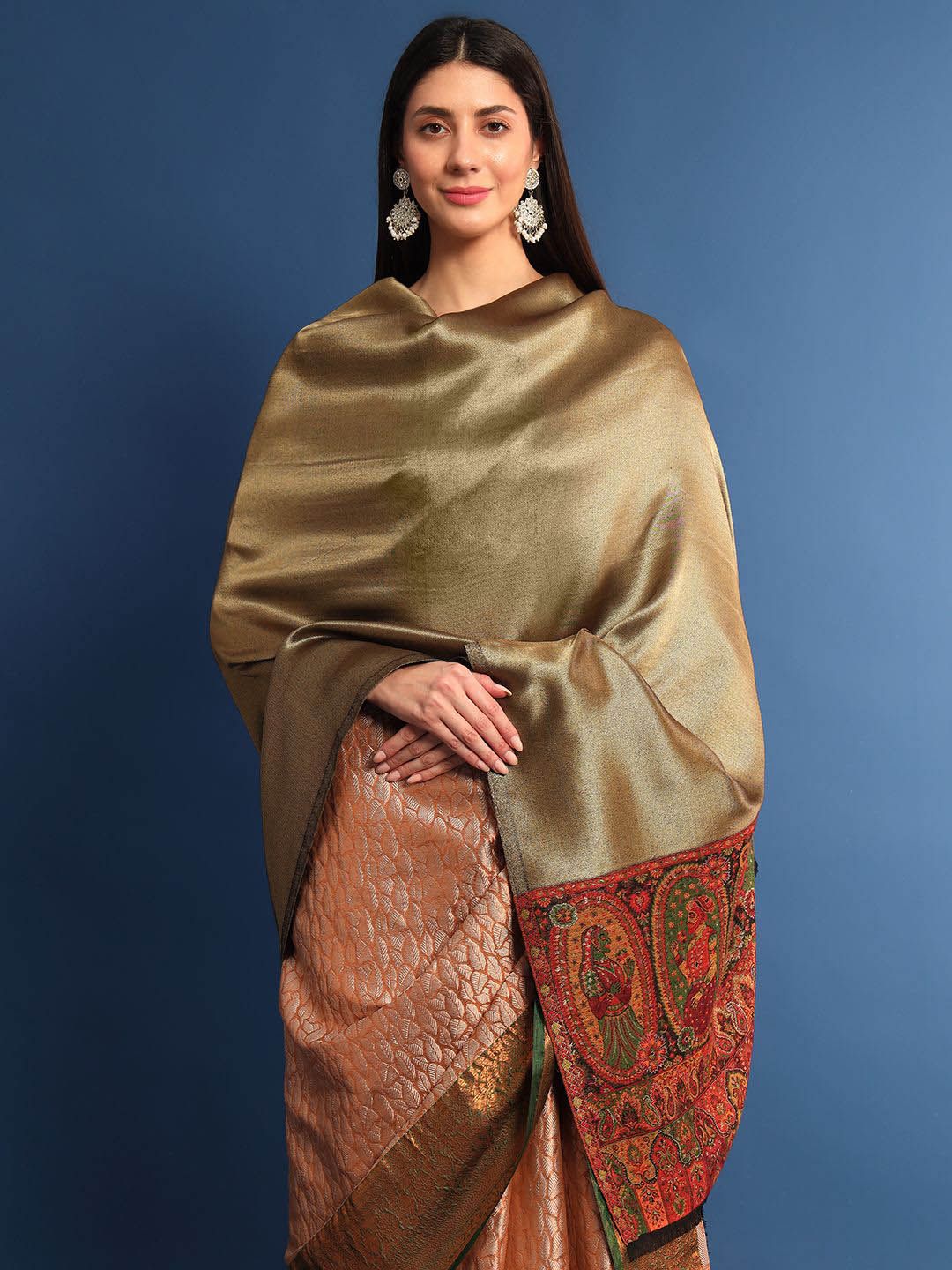 Dhiyona PA Ethnic Motifs Woven Design Woollen Shawl