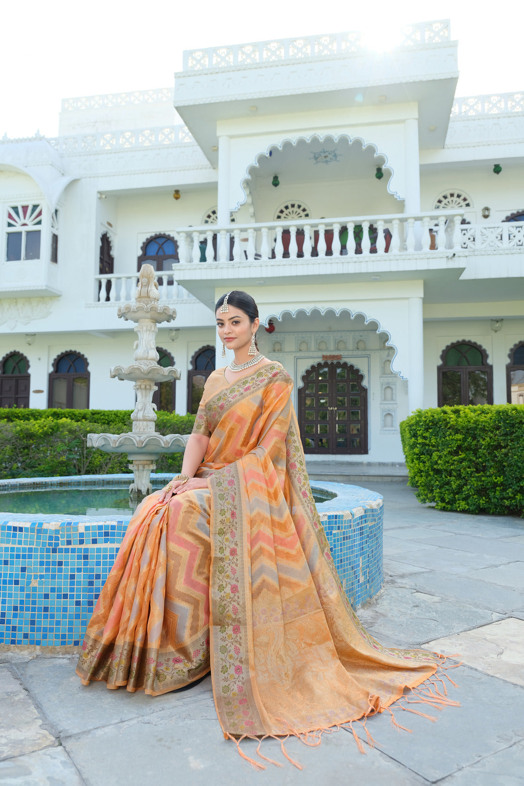 Dhiyona GR Women's Rangkat Pumpkin Orange Leheriya Design Banarasi Organza Saree