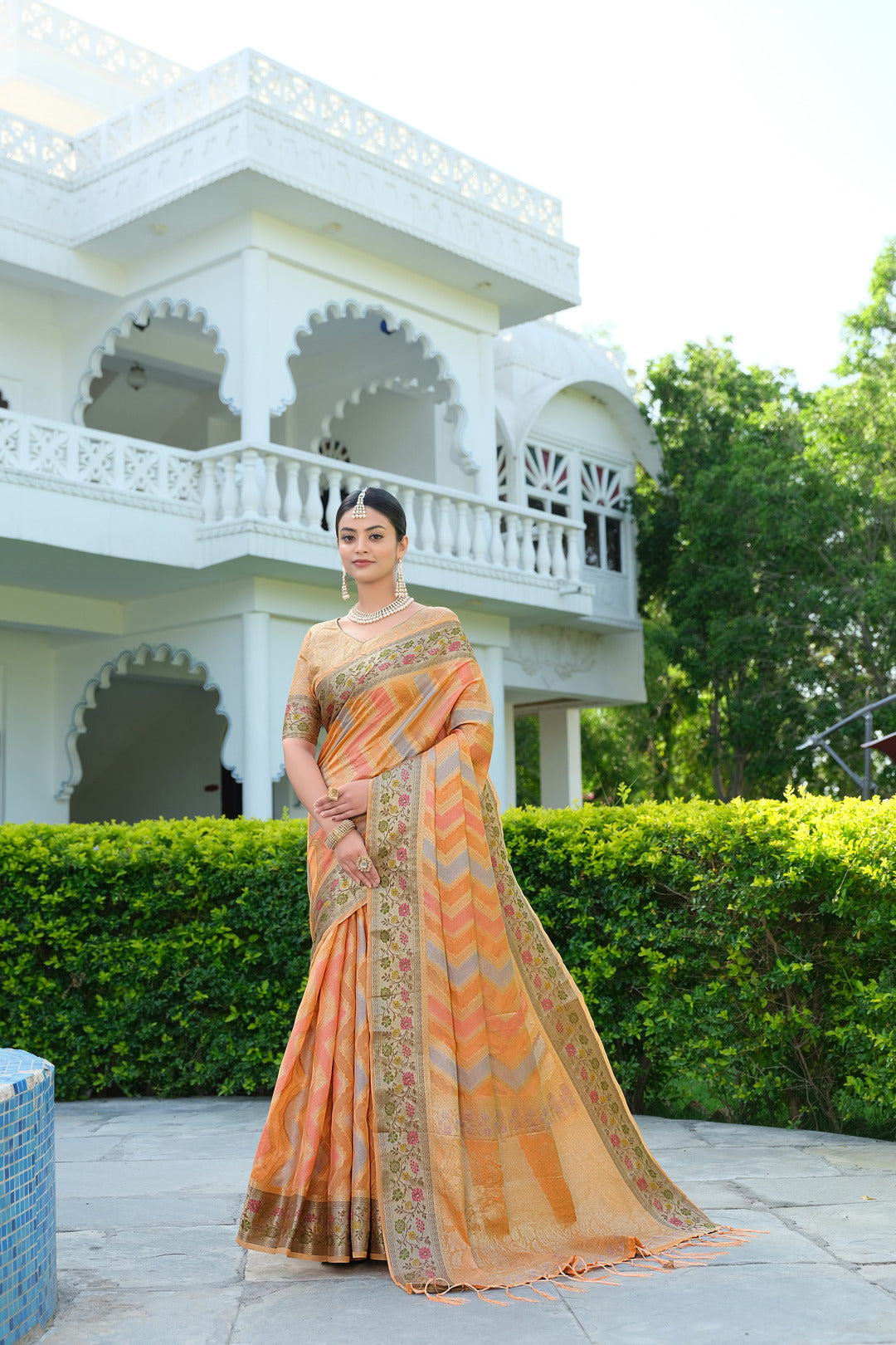 Dhiyona GR Women's Rangkat Pumpkin Orange Leheriya Design Banarasi Organza Saree