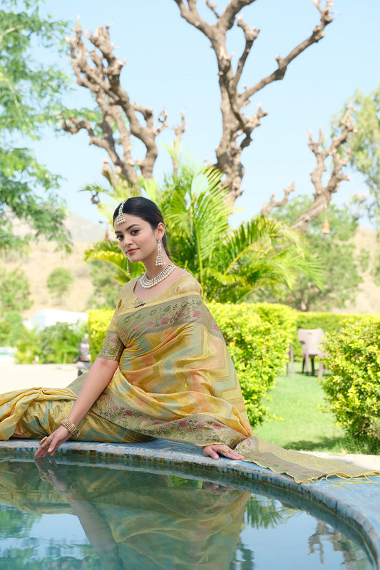 Dhiyona GR Women's Rangkat Bumblebee Yellow Leheriya Design Banarasi Organza Saree
