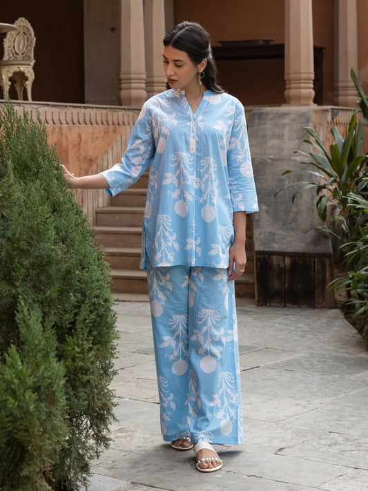 Dhiyona FL Women's Sky Blue Cotton Printed Co-ord Set
