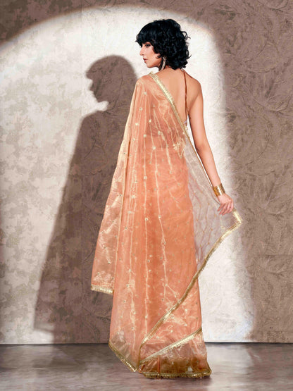Dhiyona TI Women's Peach Shimmer Net Sequined Embroidered Saree with Unstitched Blouse