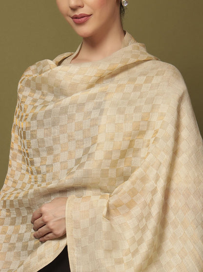 Dhiyona PA Ruhzar Checked Woven Design Reversible Pashmina Woolen Shawl