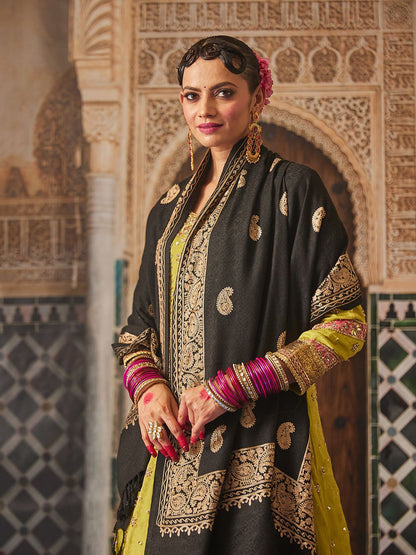 Dhiyona PA Women Paisley Embroidered Shawl