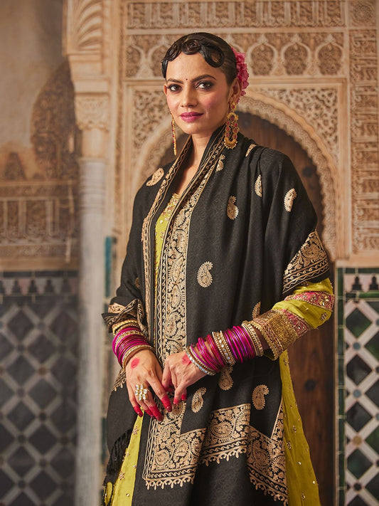 Dhiyona PA Women Paisley Embroidered Shawl