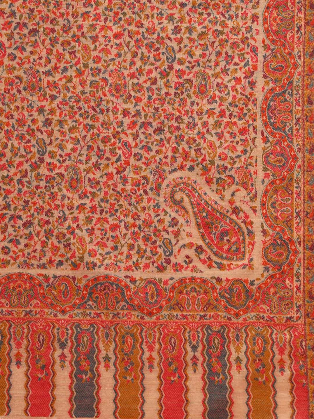 Dhiyona PA Floral & Paisley Woven Design Woollen Shawl